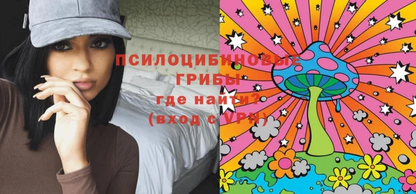 соль ск Бронницы