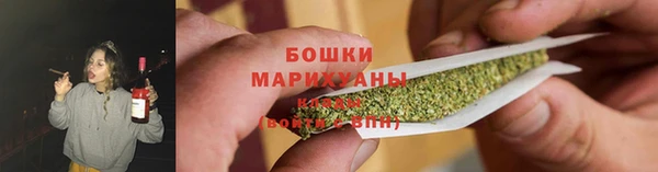 СК Бородино