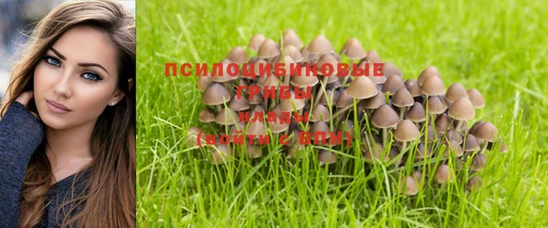 a pvp Верея