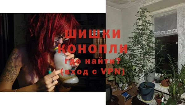 СК Бородино
