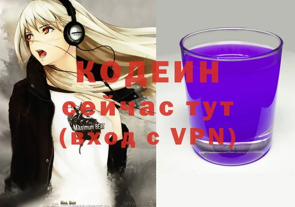 СК Бородино