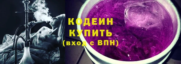 крисы Верхний Тагил