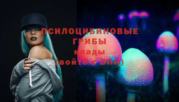 дурь Бугульма