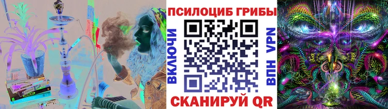 что такое   Медвежьегорск  Псилоцибиновые грибы GOLDEN TEACHER 